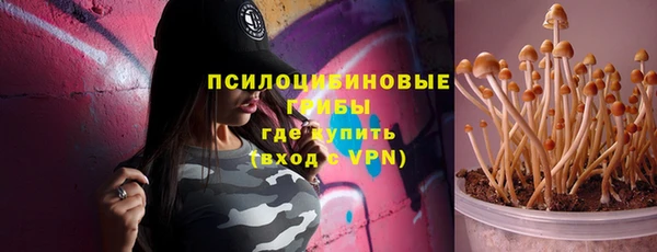 индика Беломорск