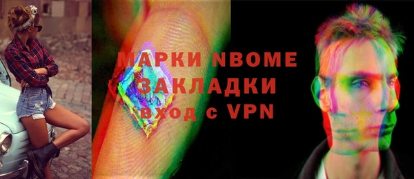 индика Беломорск
