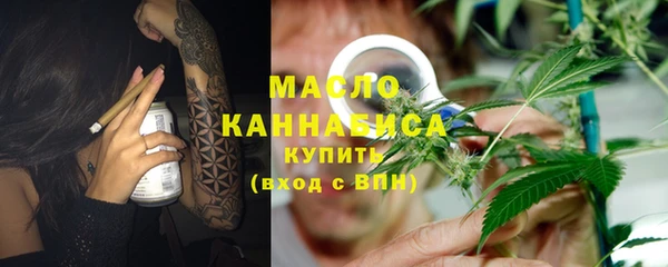 индика Беломорск