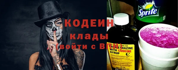 индика Беломорск