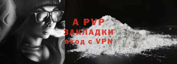 индика Беломорск