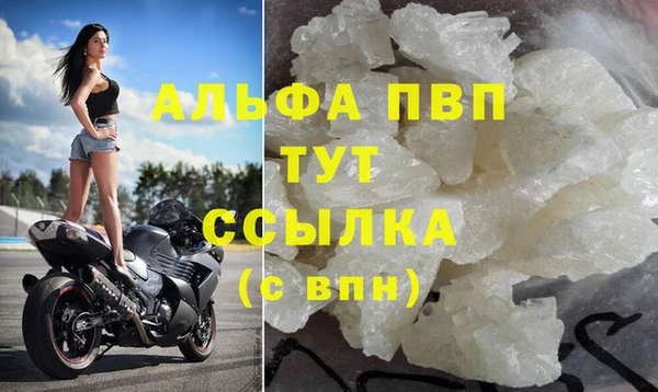 индика Беломорск
