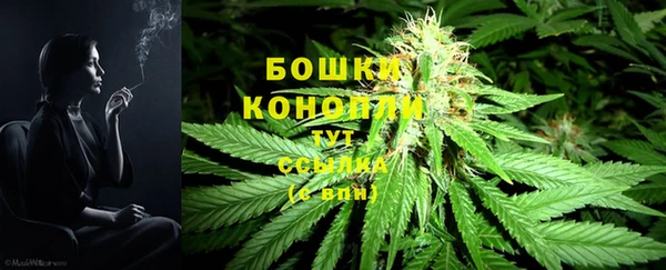 индика Беломорск