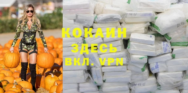 индика Беломорск