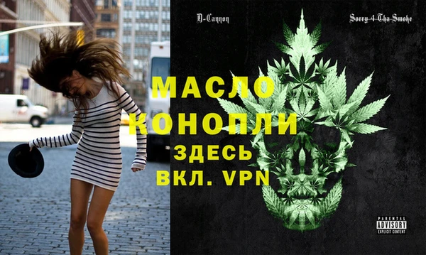 индика Беломорск