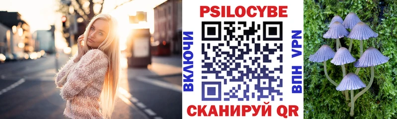 Галлюциногенные грибы прущие грибы  Болохово 